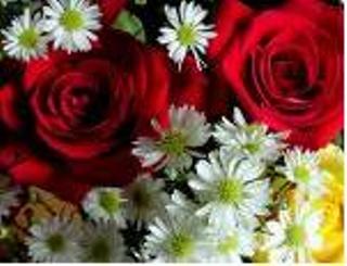 Fiori e lettera 1 anno dopo